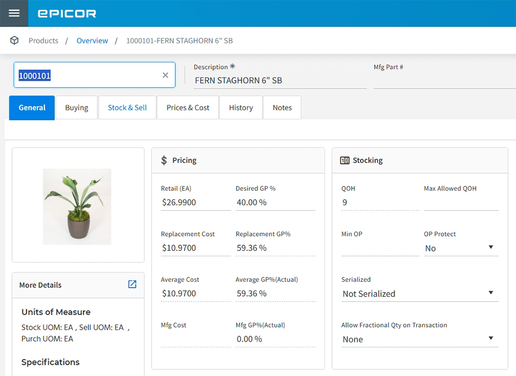 Product details in Epicor Retail