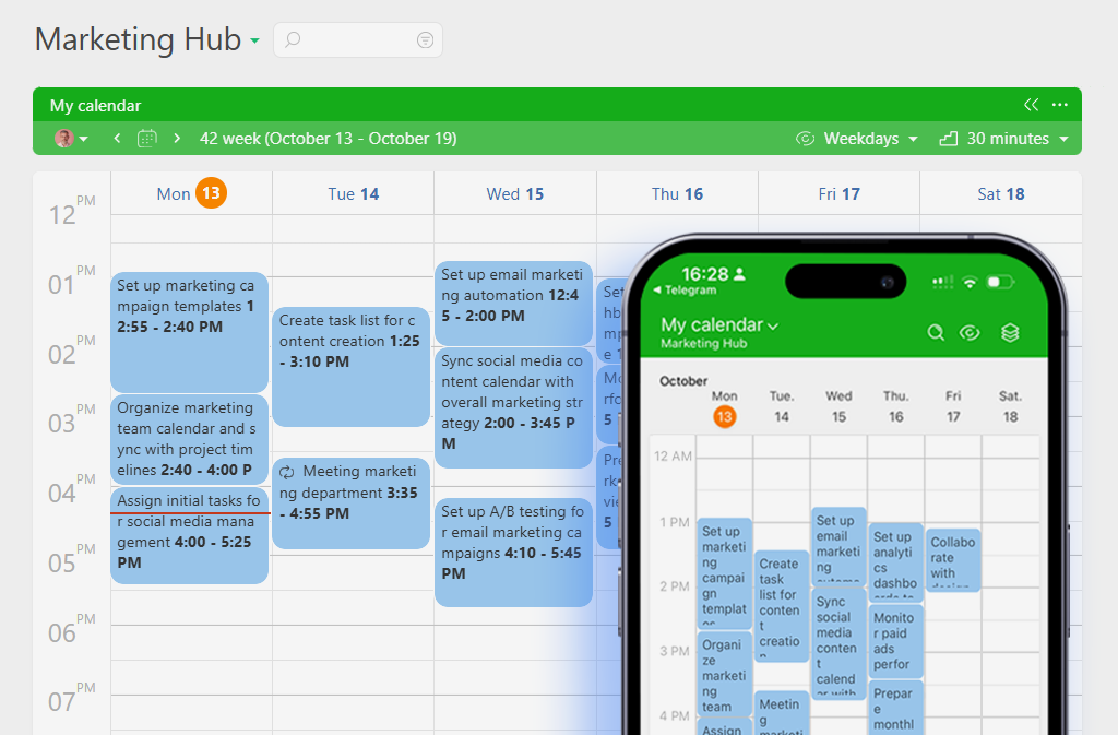 Hourly calendar | Planfix Hourly calendar in Planfix