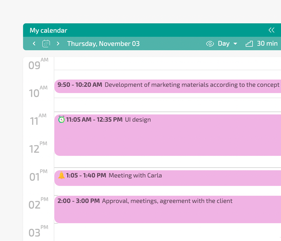 Hourly Calendar Planfix CRM and Project Management System